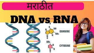 DNA vs RNA The Blueprint of Life Explained [upl. by Aerdnaek5]