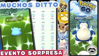 CAPTURA A DITTO SHINY en ESTE EVENTO en POKEMON GO [upl. by Aihsiyt]