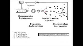 Mass Spectrometry Part 4 Electrospray Ionization [upl. by Felicidad688]