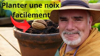 Avezvous déjà pensé à planter un noyer  Découvrez comment faire [upl. by Tandie]