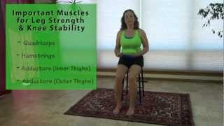 Improving Knee Strength amp Stability  Seated Inner amp Outer Thigh Exercise [upl. by Yanrahs299]