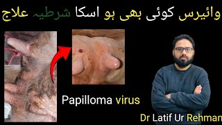 Bovine Papilloma Viruswarts pox virusdr latif Ur Rehman [upl. by Larner443]