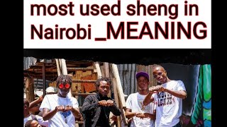 Mbogi Genje vs Madocho Sheng Dictionary part 1 [upl. by Ylyl]