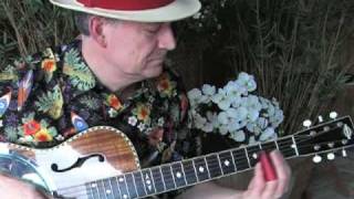 Blue Hula  Slide instrumental in open G  Blues Hawaiian slack key and Steel Guitar [upl. by Daffi]