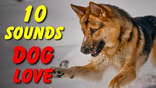 10 SOUNDS Dogs LOVE To Hear The Most [upl. by Acinhoj]