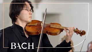 Bach  Erbarme dich mein Gott from St Matthew Passion BWV 244  Netherlands Bach Society [upl. by Takara]