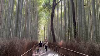 Japan 2023  Memory of Kyoto  Arashiyama  Episode 6 [upl. by Ennael]