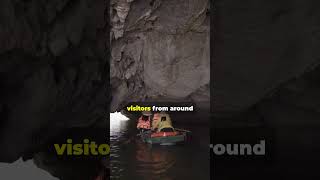 Discover the Underground River Palawan Philippines shorts palawan [upl. by Euqilegna]