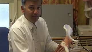 hip joint masterclass ranjan vhadra [upl. by Yroj]