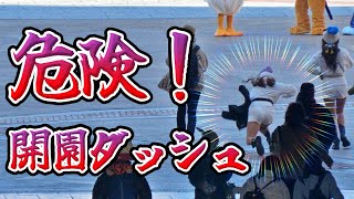 【ディズニー】開園ダッシュしてはいけない理由 [upl. by Cello]