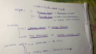 Sternocleidomastoid muscle  origin  insertion nerve supply action  relations [upl. by Short289]