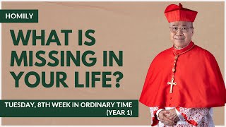 What Is Missing In Your Life  William Cardinal Goh Homily  30 May 2023 [upl. by Nehtanhoj]