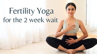 Two Week Wait Yoga  Luteal Phase Yoga  Fertility Yoga To Conceive Naturally [upl. by Hamas207]