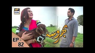 Bharosa Episode  82  31st August 2017  ARY Digital Drama [upl. by Evadnee]