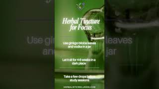 🌿🧠 Herbal Focus Tincture  Ginkgo Biloba herbalremedies herbpower herbalmedicine [upl. by Aibun452]