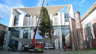 Ein Weihnachtsbaum für den Bundeskanzler [upl. by Eitsim349]