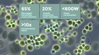 ALGAEMAX Efficient Microalgae Harvesting [upl. by Nuriel]