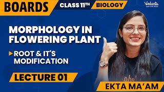 Morphology in Flowering Plants Class 11 L1  Class 11 Biology Chapter 5  CBSE 2024  Ekta Mam [upl. by Eendyc]