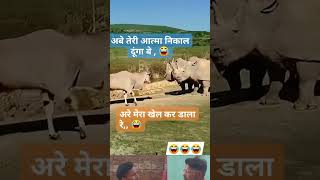 दम है तो हसी रोक के दिखाओ 🤣😂 youtubeshorts  funnyshorts comedyshorts funnyshort funnyvideos [upl. by Butterworth]