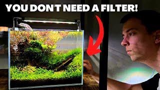 HOW TO NO FILTER AQUARIUM  Nano Aquascape For Guppy Babies [upl. by Weinrich]