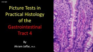 Picture tests in histology of the gastrointestinal system 4 [upl. by Meagan]