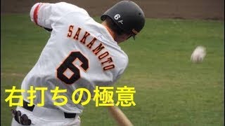 坂本勇人 右打ちの秘訣 [upl. by Clava]