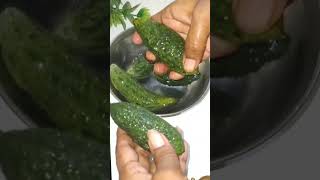 Stuffed Karela Recipe short ytshorts karela stuffkarela [upl. by Coy]