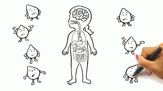 How does Peroxisomal Biogenesis DisorderZellweger Spectrum Disorder or PBDZSD affect the liver [upl. by Labinnah123]