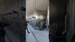 Secondary fermenters for Moscato wine domainehelena canelli [upl. by Lovett]