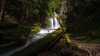 Panther amp Lewis River Falls Carson WA  May 2024 [upl. by Jacobsen]