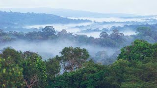 ¿Cuál es la diferencia entre VEGETACIÓN REAL y POTENCIAL [upl. by Auric]