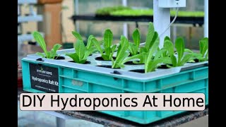 DIY Hydroponics At Home [upl. by Katrina]