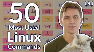 The 50 Most Popular Linux amp Terminal Commands  Full Course for Beginners [upl. by Kolb384]