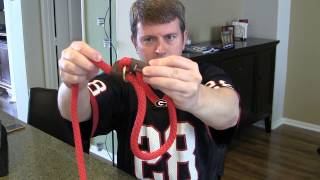 Best Slip Dog Lead Leash Collar by Mendota  Review and Demo [upl. by Cynera]