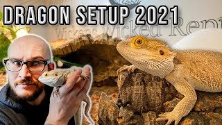 Bearded Dragon Setup  How To Set Up A Bearded Dragon Enclosure On A Budget 2021 [upl. by Anilave]