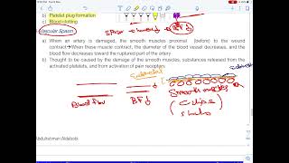 13 Blood Physiology 4 [upl. by Giaimo574]