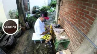 Betel Documentary1Process of Betel Leaf [upl. by Gipsy160]