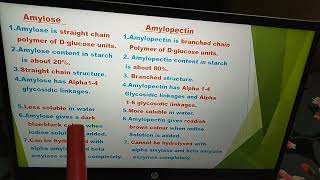 Difference between Amylose and Amylopectin [upl. by Anirbes330]