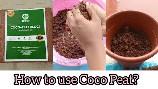 How to expand cocopeat block  Easy potting mix for plants using coco peat cocopeat pottingmix [upl. by Frans]