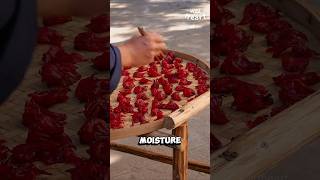 Processing Roselle Candies [upl. by Clementina]