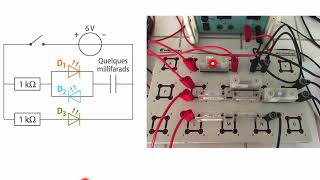 Comportement capacitif  Un circuit avec un condensateur [upl. by Vander67]