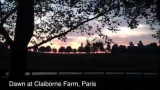 Fields of Dreams Claiborne Farm [upl. by Nodarb]