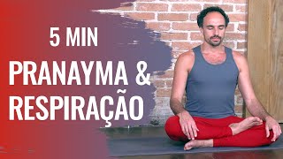 5 minutos de Pranayama  Exercícios de RESPIRAÇÃO do YOGA [upl. by Pember]