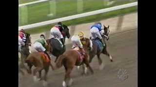 2004 Belmont Stakes  Birdstone  Post Race [upl. by Cirdla]