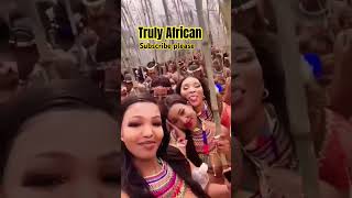 Zulu 👸zulu africa culture beauty views 4k trendingshorts trending 3d love [upl. by Judus406]