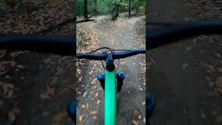 Stumpjumper 15 Shredding [upl. by Lorenzo899]