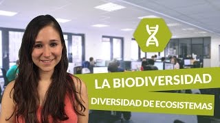 La biodiversidad Diversidad de ecosistemas  Biología  digiSchool [upl. by Ysteb]