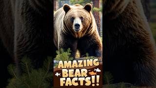 Incredible Bear Facts How They Live Eat and Play shorts [upl. by Neerac291]