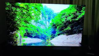 Samsung Neo QLED 8K QN900C 75 inch smart tv [upl. by Anilah321]