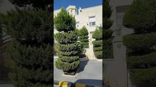 Bus tour around Amman middleeast holylandtour highway bustrip landtrip [upl. by Ivz]